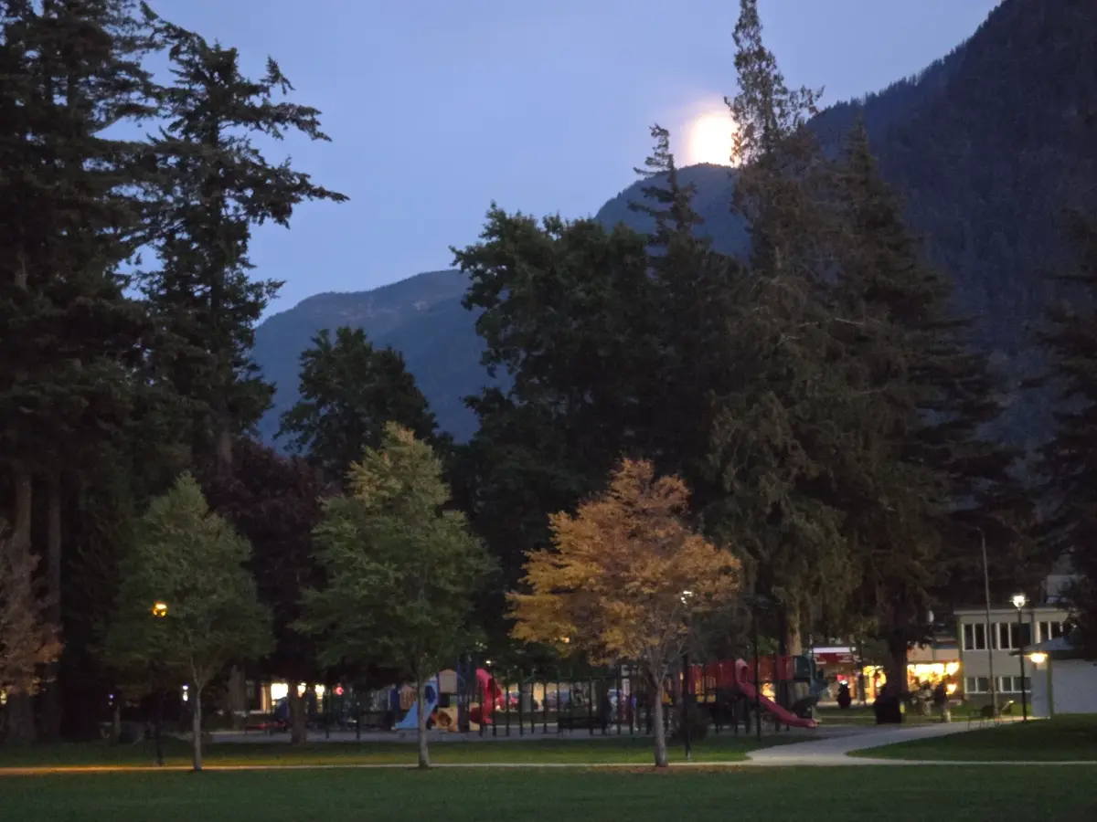 Richard Davies – Hope Driving School Instructor